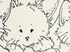Three Little Kittens ink drawing by Suzanne Nikolaisen