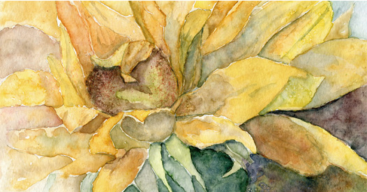Winter Sunflower watercolor by Suzanne Nikolaisen
